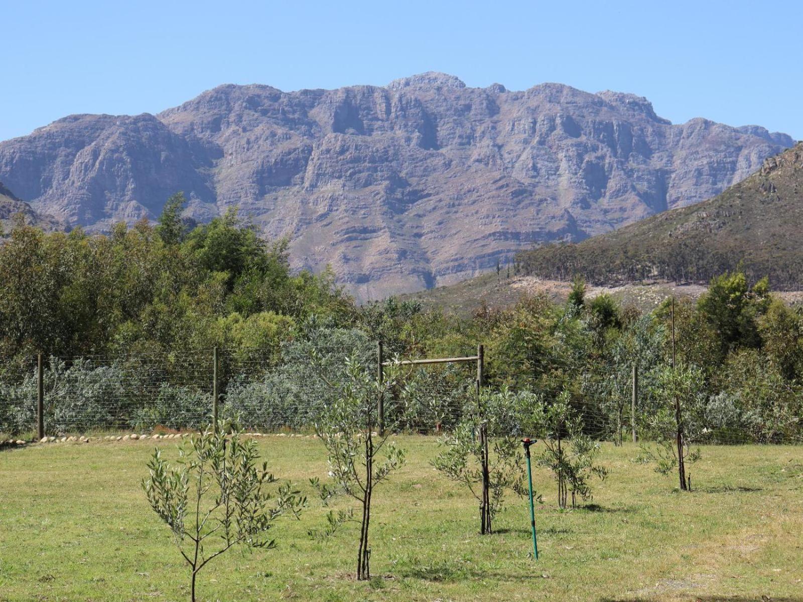 La Ferme Guest Farm - Hot Tubs Βίλα Franschhoek Εξωτερικό φωτογραφία