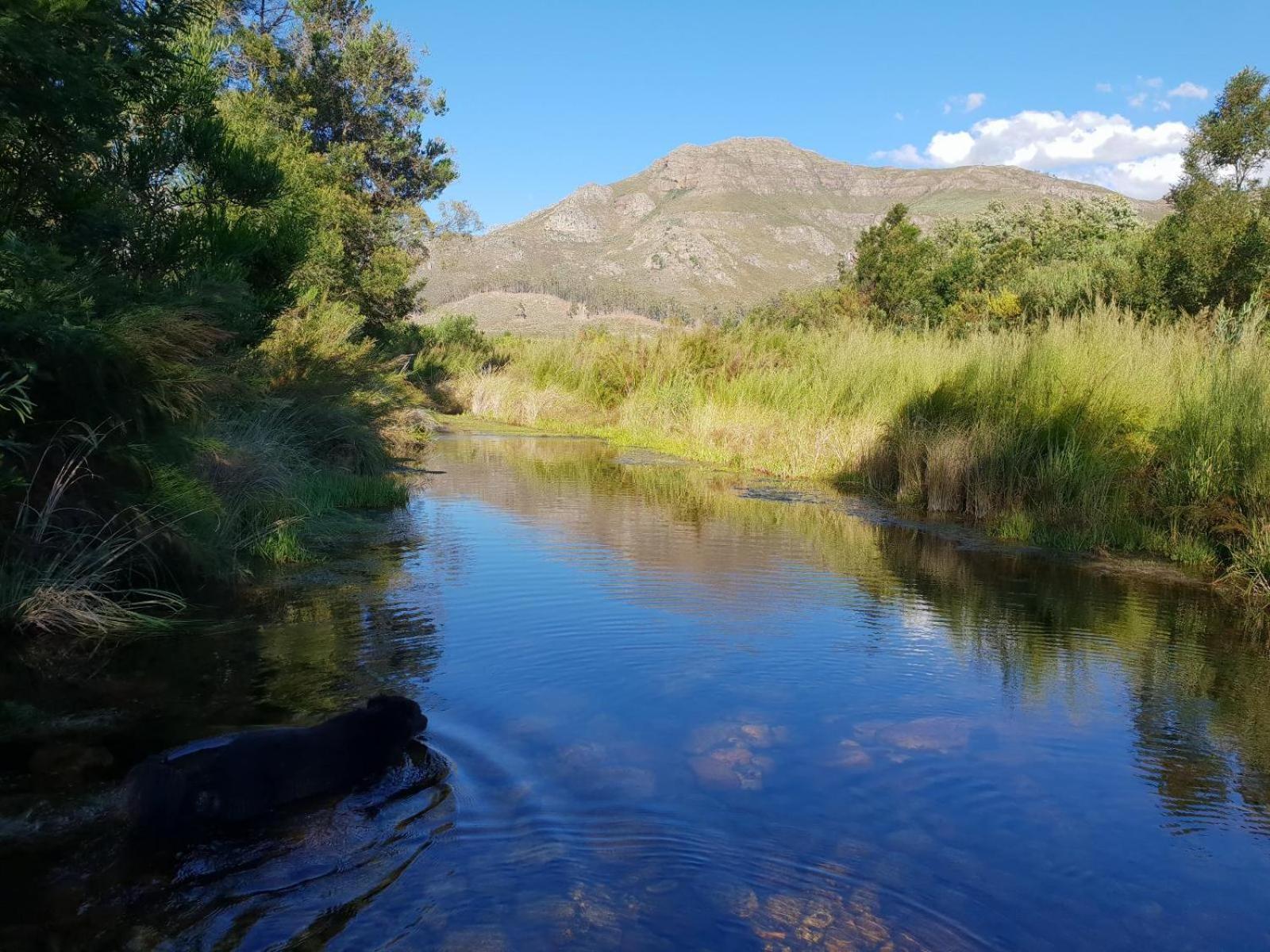 La Ferme Guest Farm - Hot Tubs Βίλα Franschhoek Εξωτερικό φωτογραφία