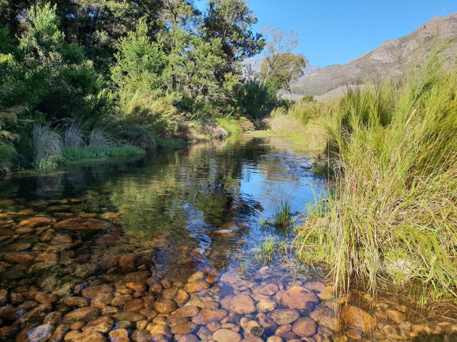 La Ferme Guest Farm - Hot Tubs Βίλα Franschhoek Εξωτερικό φωτογραφία