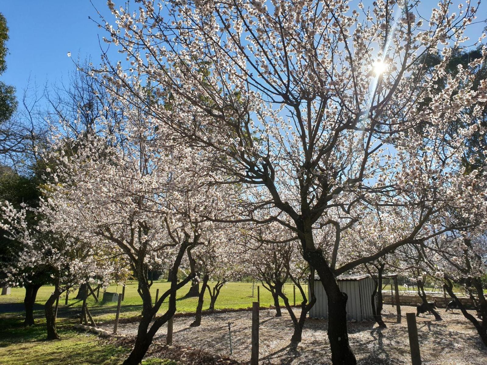 La Ferme Guest Farm - Hot Tubs Βίλα Franschhoek Εξωτερικό φωτογραφία