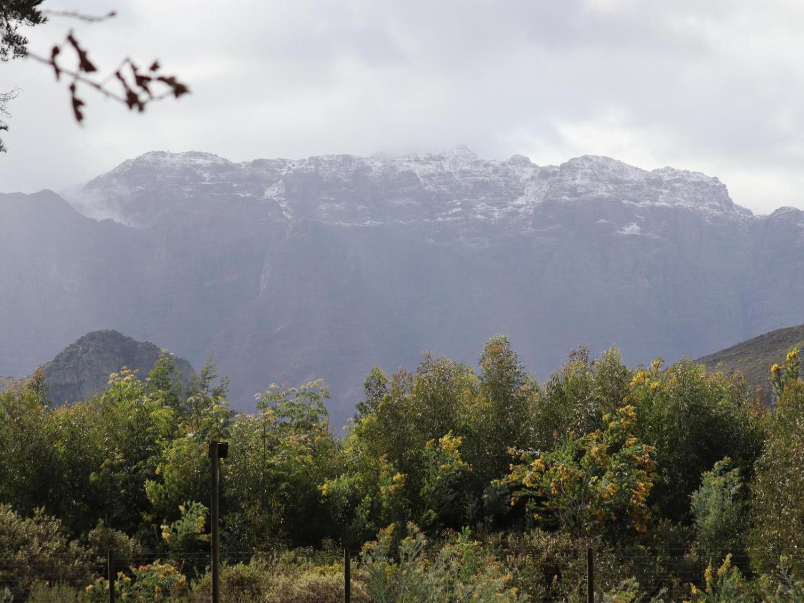 La Ferme Guest Farm - Hot Tubs Βίλα Franschhoek Εξωτερικό φωτογραφία